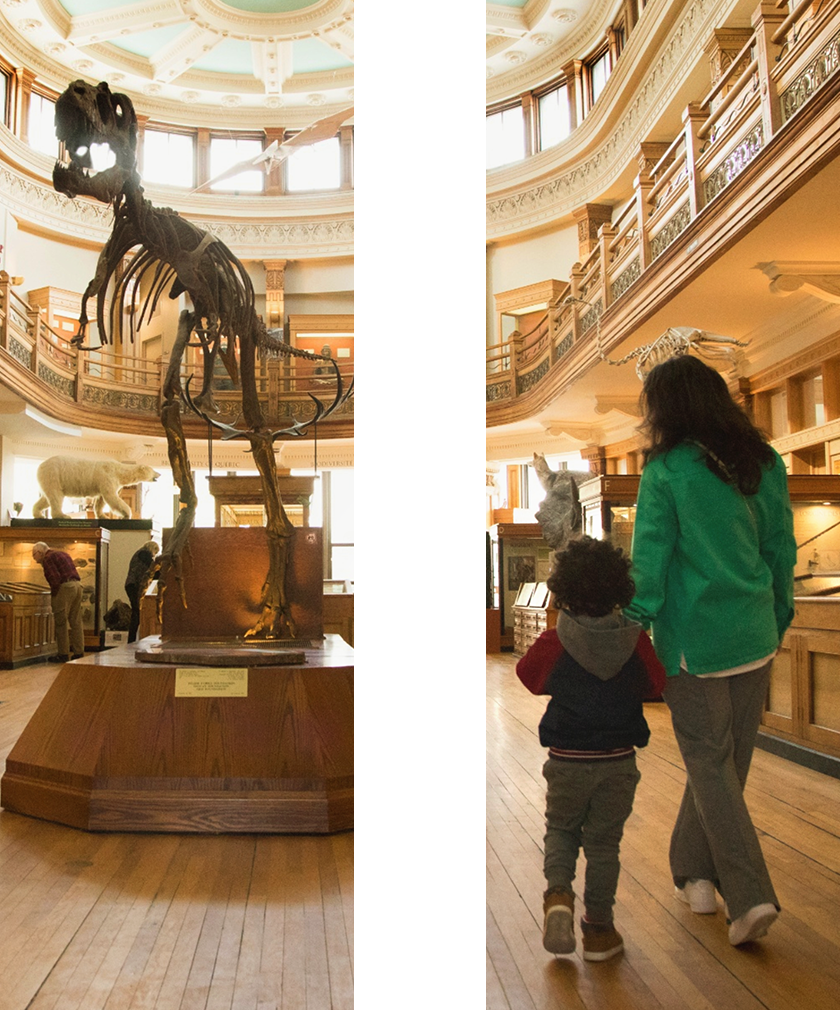 Image shaped like a pause symbol featuring a mother and her child at the museum.