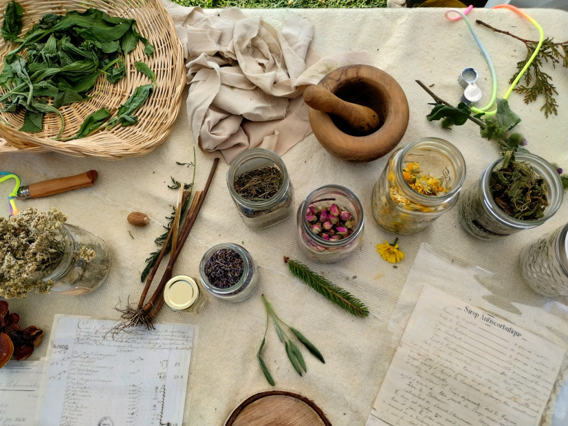 Gardens: Where History And Food Meet (in french)