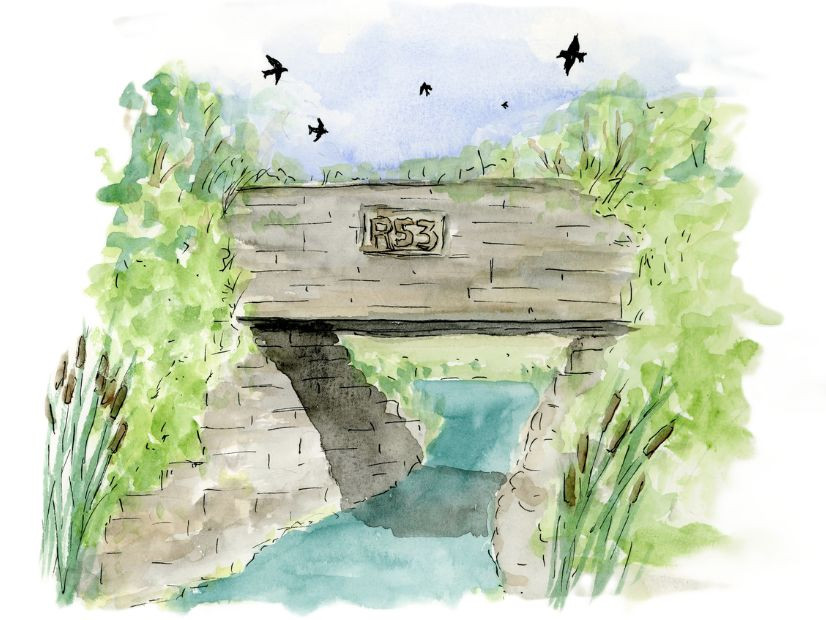 Creek 53: La nature en portaits